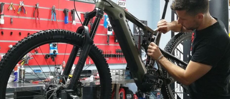 artbikestaller-20_1